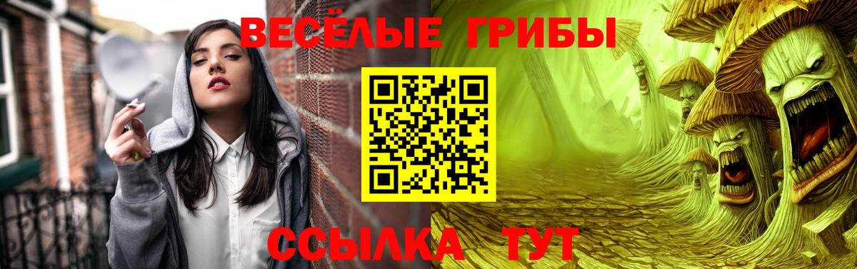 Псилоцибиновые грибы мицелий  Вход с VPN  Донской  Галлюциногенные грибы прущие грибы 