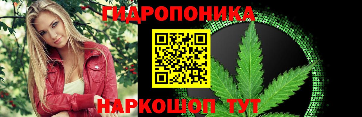 Донской  Канабис THC 21%  МАРИХУАНА LSD WEED  Вход с VPN  Конопля гибрид 